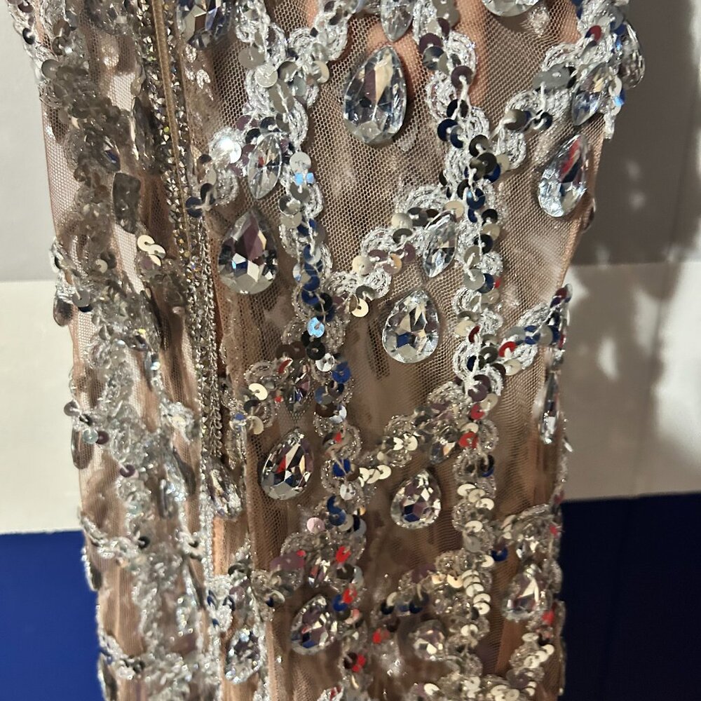 Custom Crystal Gown - Picture 14 of 16